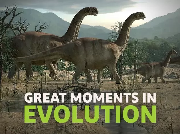 [生命进化大事记/进化的伟大时刻 Great Moments in Evolution][2集][纪录片][英语中字]1080P下载 