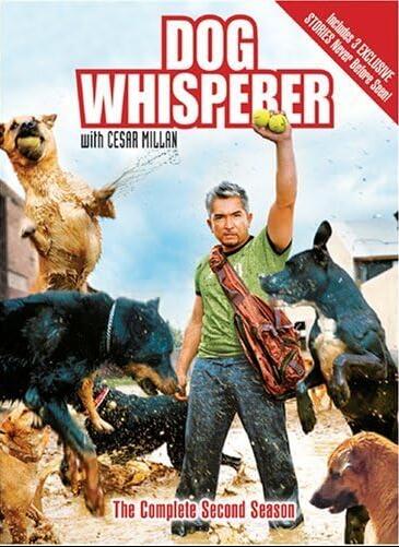 [狗语者/报告狗班长 Dog Whisperer with Cesar Millan][第二季共19集][纪录片][英语无字]1080P下载