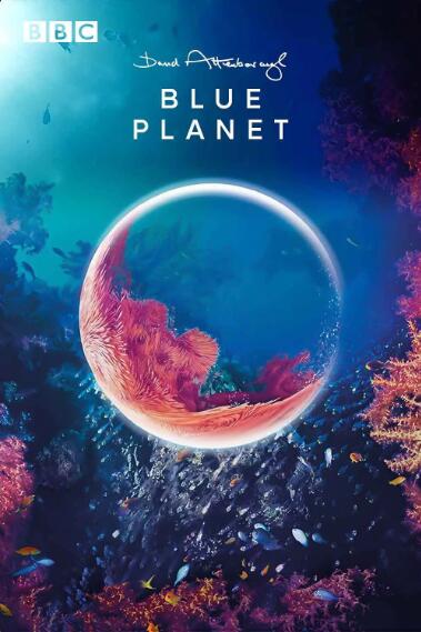 [蓝色星球 Blue Planet][1集][IMAX纪录片][英语配音中英双字]1080P下载