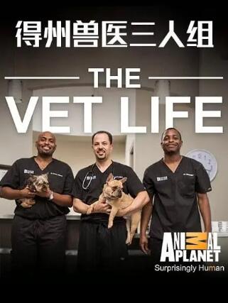 [德州兽医三人组 The Vet Life][第六季共8集][纪录片][英语中字]1080P下载