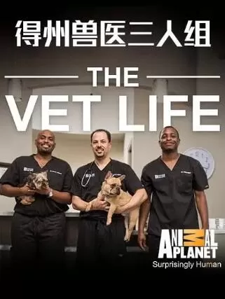 [德州兽医三人组 The Vet Life][第二季共8集][纪录片][英语中字]1080P下载