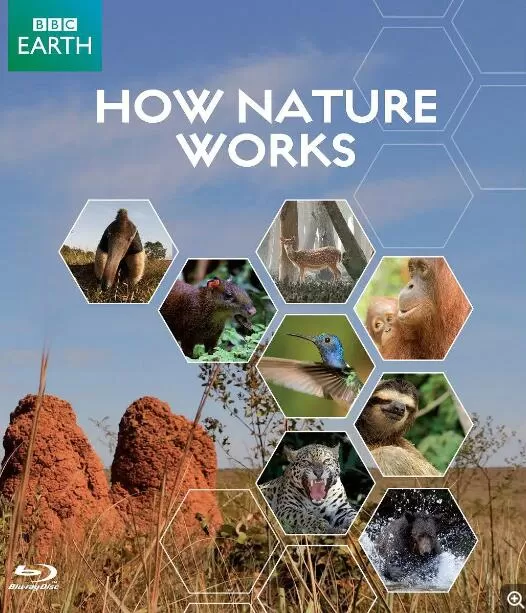 [探秘自然界/自然的运作 How Nature Works][4集][BBC][原声配音中文字幕]1080P下载