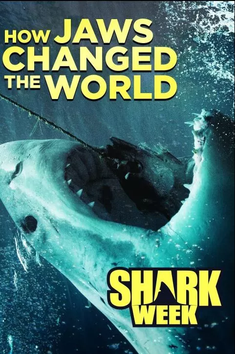 [鲨鱼周/周一鲨鱼夜2015年版 Shark Week][14集][纪录片][英语中字]1080P下载 