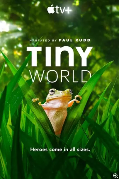 [小小世界 Tiny World Season 2 (2021)][第二季 共6集][Apple TV+纪录片][英语配音中文字幕]4k下载 