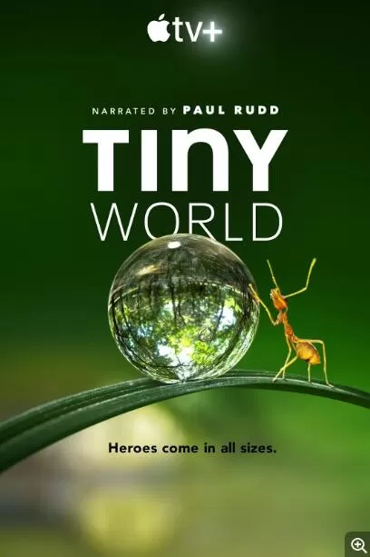 [小小世界 Tiny World Season 1 (2020)][第一季 共6集][Apple TV+纪录片][国语配音中文字幕]4k下载