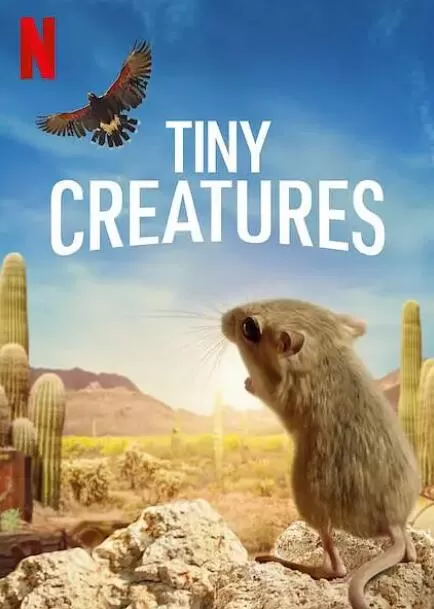 [微观世界 Tiny Creatures 2020][Netflix纪录片][6集][英语配音中文字幕] 1080P纪录片下载 