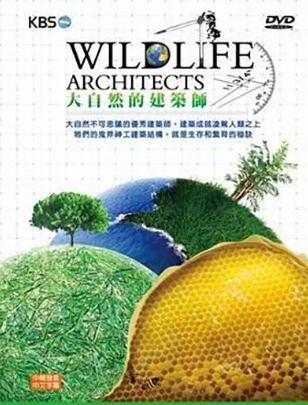 [大自然的建筑师 Wildlife Architects][KBS纪录片][3集][国语中字] 1080P纪录片下载