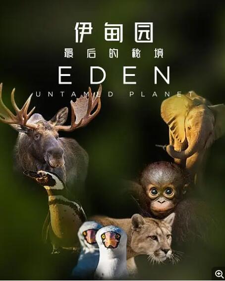 [伊甸园：最后的秘境  Eden: Untamed Planet][7集][BBC纪录片][英语中字]1080P下载