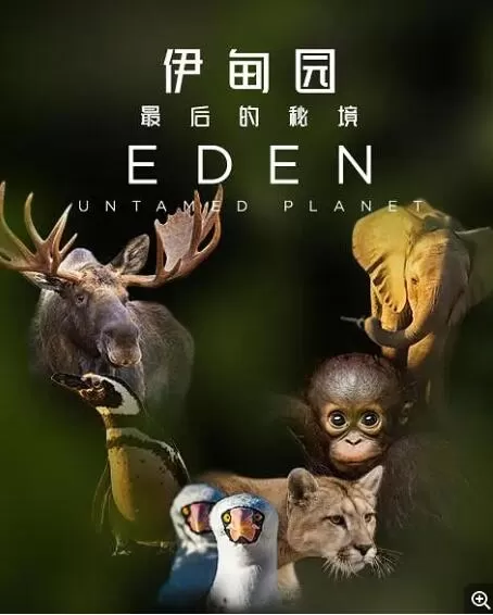 [伊甸园：最后的秘境  Eden: Untamed Planet][7集][BBC纪录片][英语中字]1080P下载