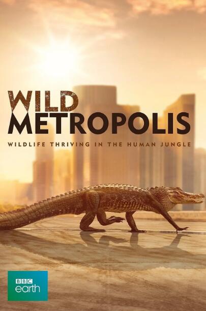 [野性都市 Wild Metropolis][3集][BBC][英语配音中文字幕]1080P下载