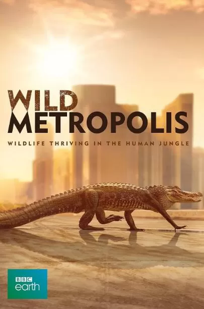 [野性都市 Wild Metropolis][3集][BBC][英语配音中文字幕]1080P下载