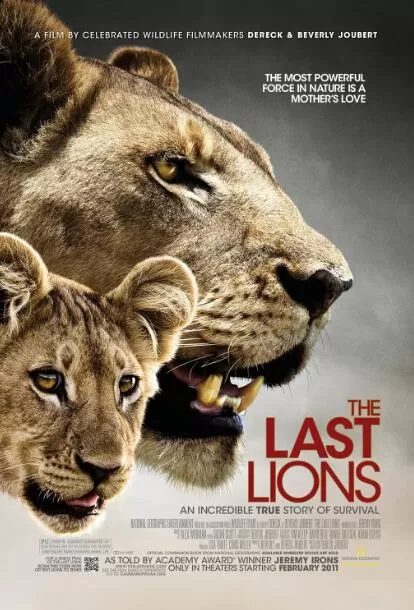 [最后的狮群/最后的狮子 The Last Lions][2集][国家地理纪录片][原声配音中文字幕]1080P下载