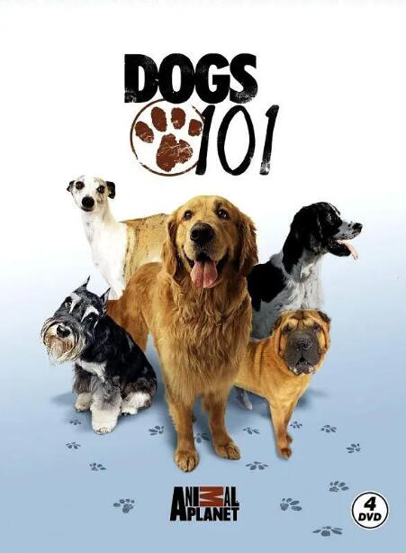 [狗狗全纪录/狗狗101 Dogs 101][第一季共5集][纪录片][英语中字]1080P下载 