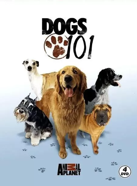 [狗狗全纪录/狗狗101 Dogs 101][第三季共5集][纪录片][英语中字]1080P下载