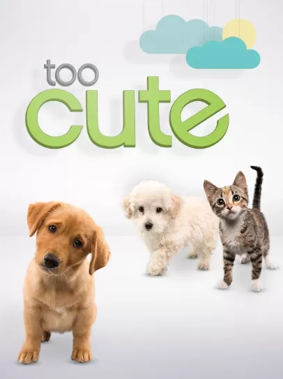 [萌宠成长记 Too Cute!][第一季共8集][纪录片][英语中字]1080P下载