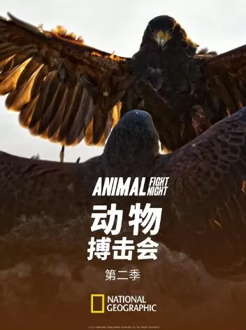 [动物搏击俱乐部/动物搏击会 Animal Fighting Club][第一季共9集][纪录片][英语中字]1080P下载