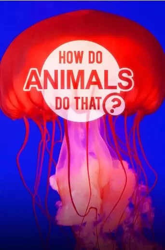 [动物奇门功夫 How Do Animals Do That?][第二季共16集][纪录片][英语中字]1080P下载