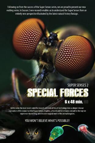 [动物特种部队 Animal Special Forces][6集][动物纪录片][英语配音中文字幕]1080P下载