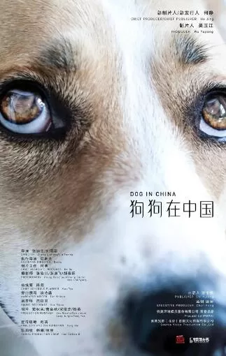 [狗狗在中国 dogs in china][5集][宠物纪录片][国语配音中文字幕] 1080P下载