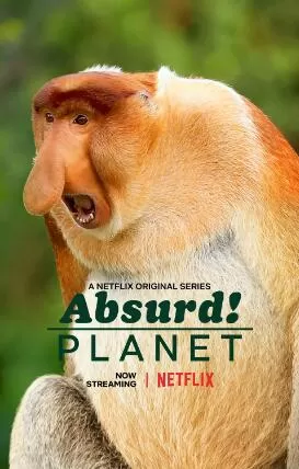 [怪诞星球 Absurd Planet][12集][Netflix纪录片][英语中字]1080P下载