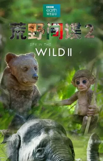 [荒野间谍 Spy in the Wild][第二季 全4集][BBC纪录片][英语中字]1080P下载