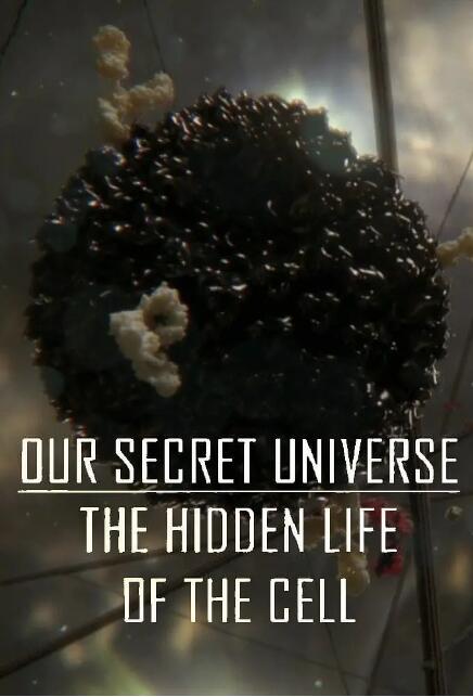 纪录片[人体奥妙之细胞的暗战 Our Secret Universe: The Hidden Life of the Cell]第一季共1集 英语中字1080P下载