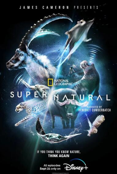 纪录片[超凡动物奇观 Super Natural]第一季共6集 英语中字1080P下载