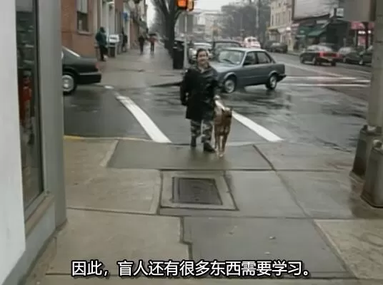 QQ截图20250117195947.jpg