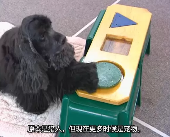 QQ截图20250118192211.jpg